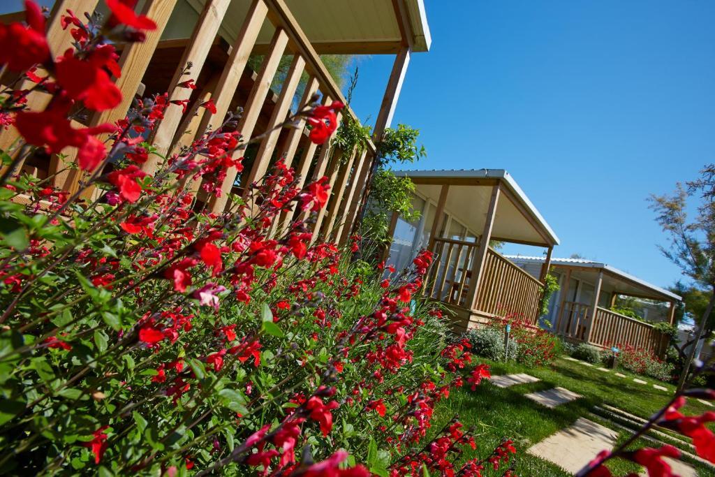 Apartaments Terraza - Salata Mar Roses Værelse billede