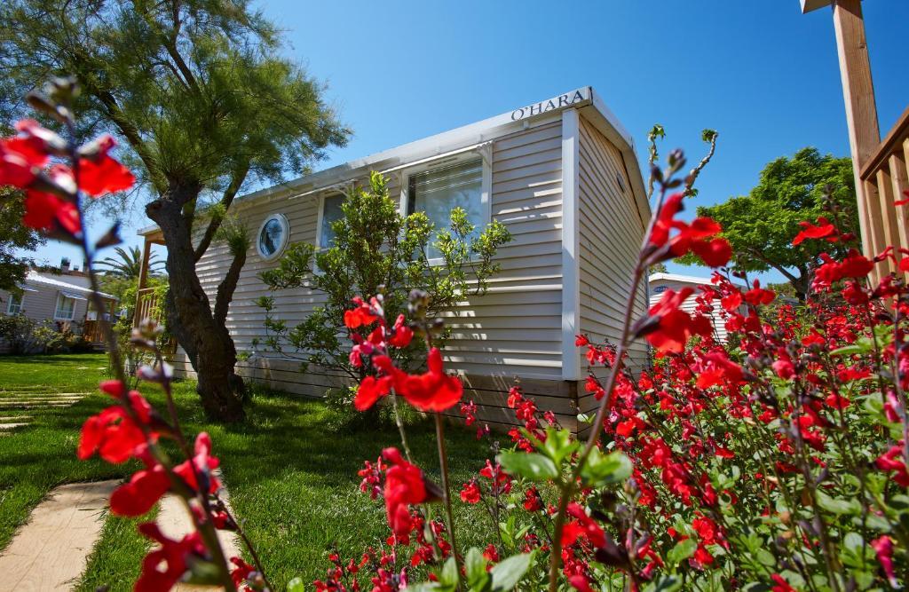Apartaments Terraza - Salata Mar Roses Værelse billede